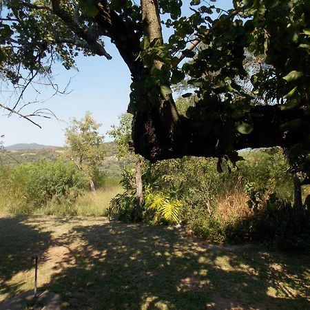 Leopard Tree Retreat Villa Mbombela Luaran gambar