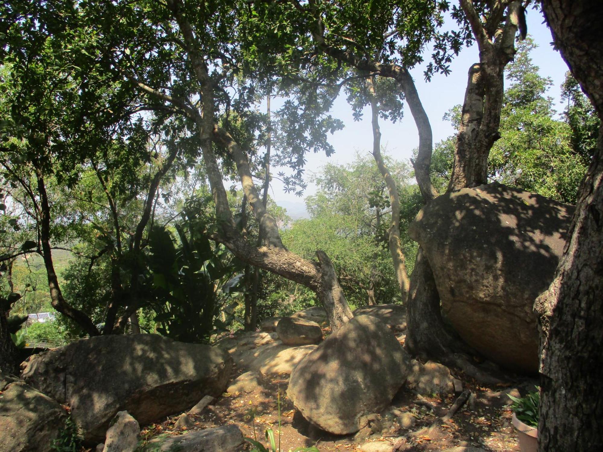 Leopard Tree Retreat Villa Mbombela Luaran gambar