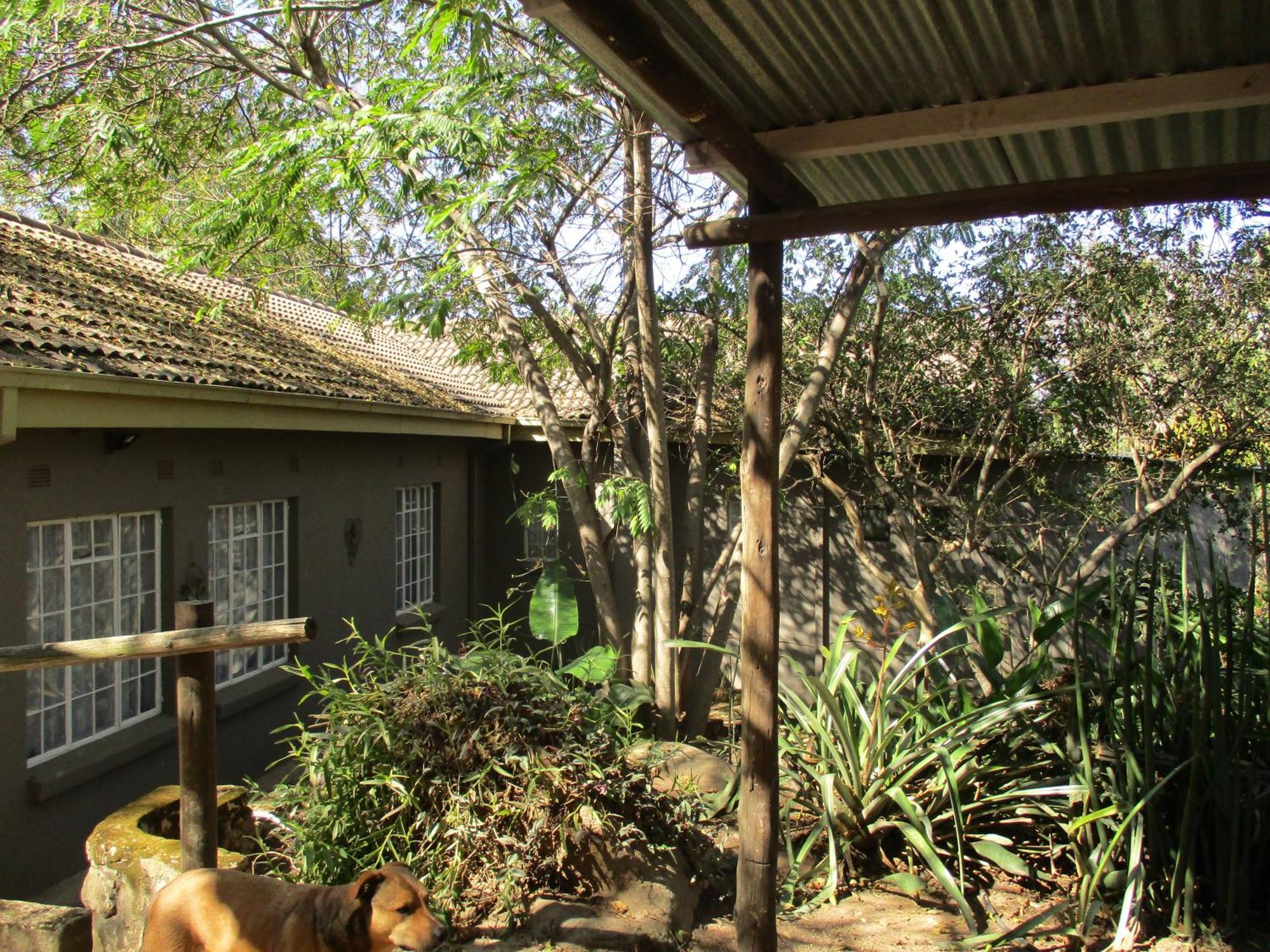 Leopard Tree Retreat Villa Mbombela Luaran gambar
