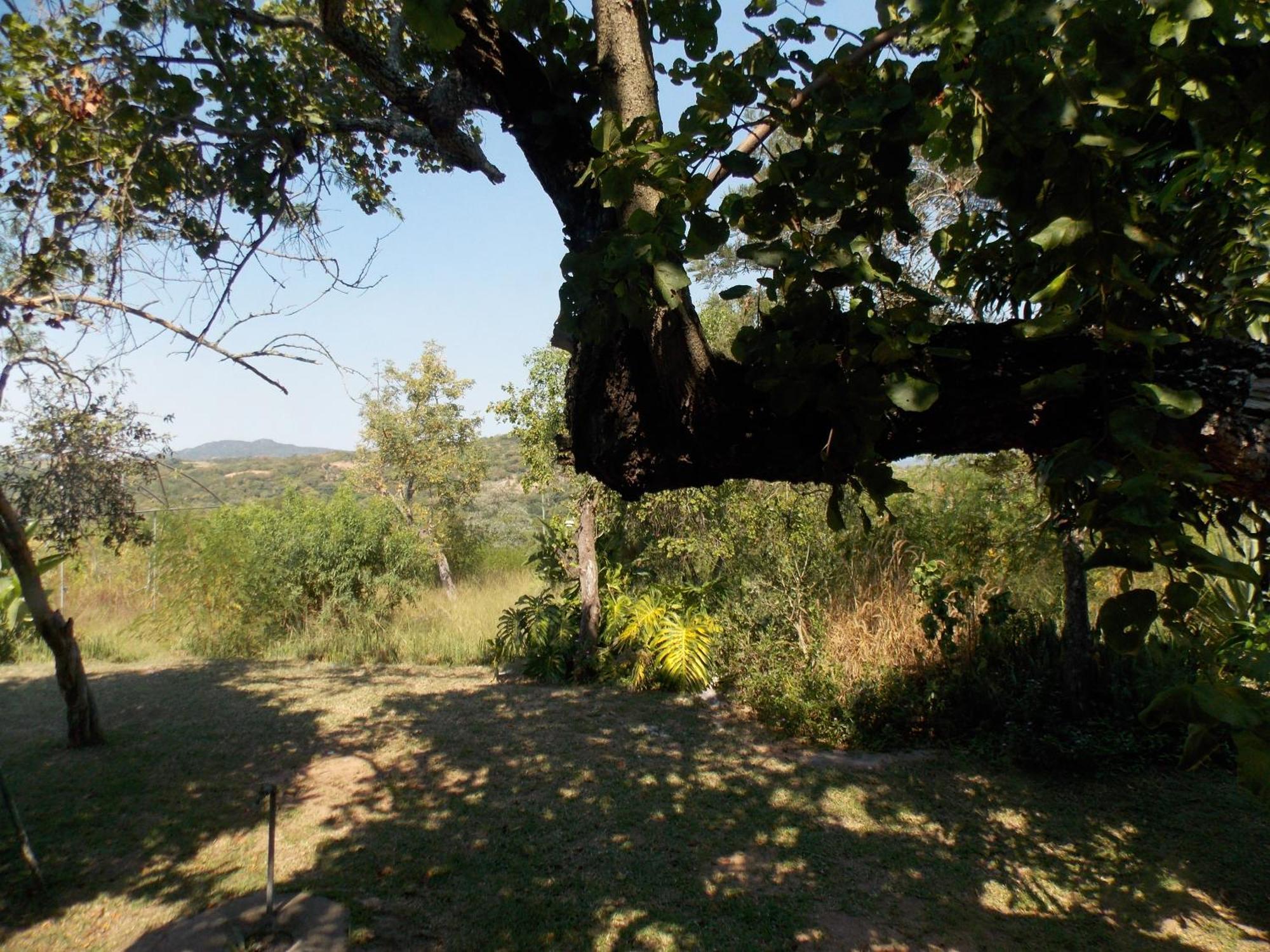 Leopard Tree Retreat Villa Mbombela Luaran gambar